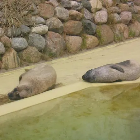 Friesenhof Appartement Friedrichskoog