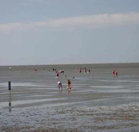 Friesenhof Friedrichskoog