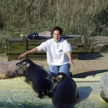 Friesenhof Appartement