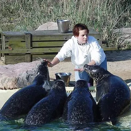 Friesenhof * Friedrichskoog